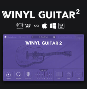 Vinyl Guitar 2