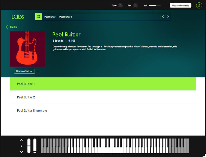 Labs Peel Guitar