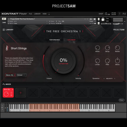 The Free Orchestra