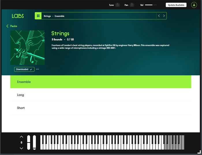 LABS Strings